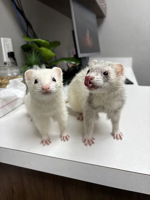 Texas Avian & Exotic Hospital Picture 4