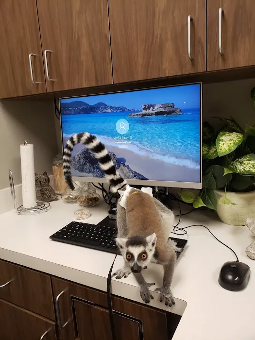 Texas Avian & Exotic Hospital Picture 8