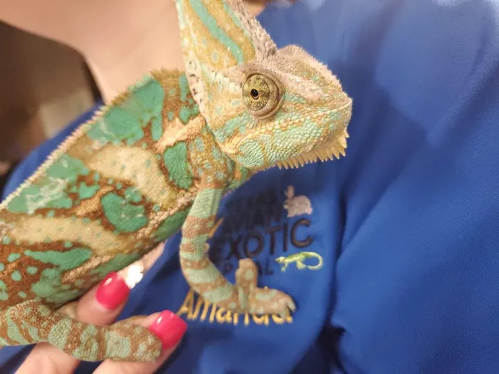 Texas Avian & Exotic Hospital Picture 7