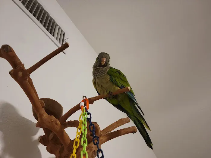 Texas Avian & Exotic Hospital Picture 10