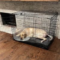 Dallas Veterinary Surgical Center (DVSC) - Grapevine ico