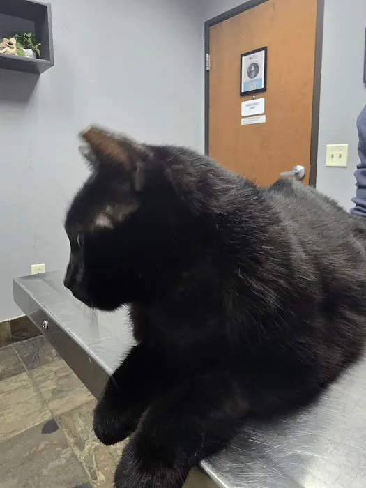 Dallas Veterinary Surgical Center (DVSC) - Grapevine Picture 10