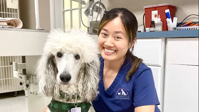 Animal Healthcare Clinic of Southlake Picture 3