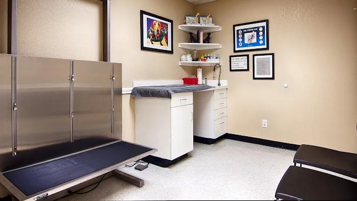 Animal Healthcare Clinic of Southlake Picture 4