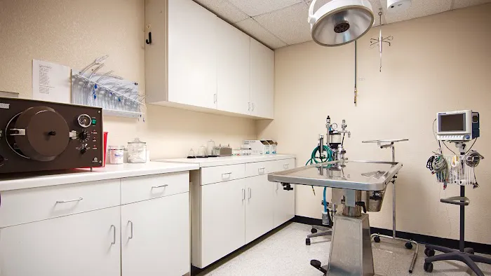 Animal Healthcare Clinic of Southlake Picture 9