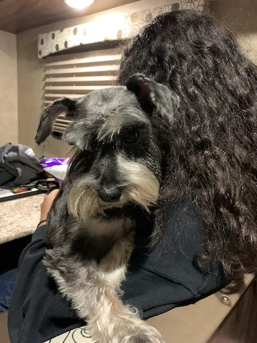 Banfield Pet Hospital Picture 4