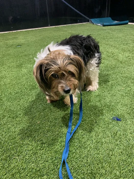 Creekside Pet Care Center Picture 4