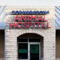Cornerstone Animal Hospital ico