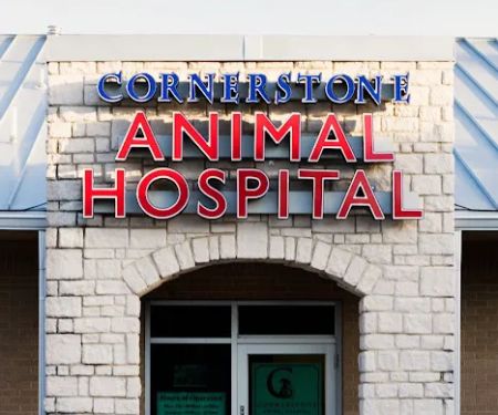 Cornerstone Animal Hospital