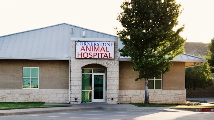 Cornerstone Animal Hospital Picture 5