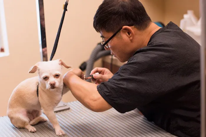 Cornerstone Animal Hospital Picture 7