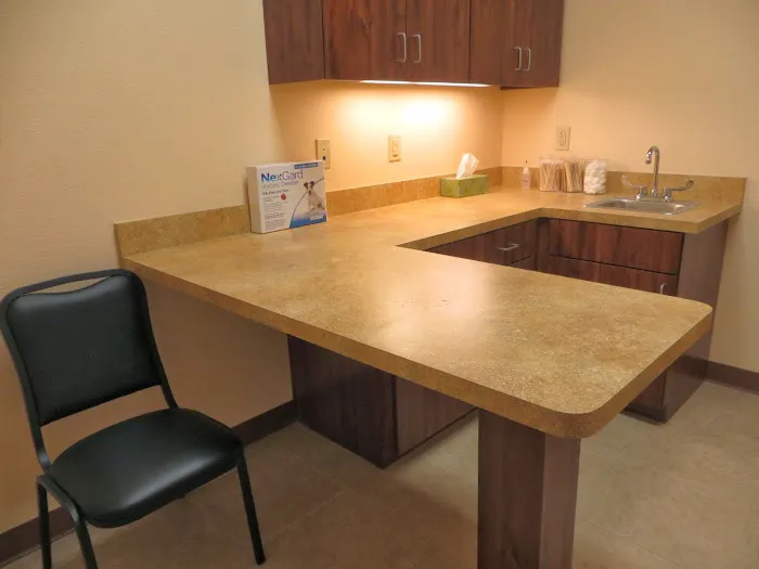 Cornerstone Animal Hospital Picture 10