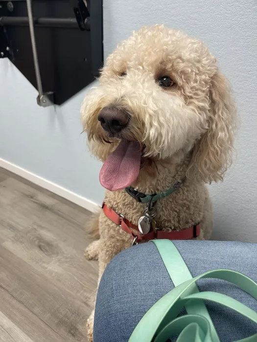 Family Pet Clinic of Grapevine Picture 2