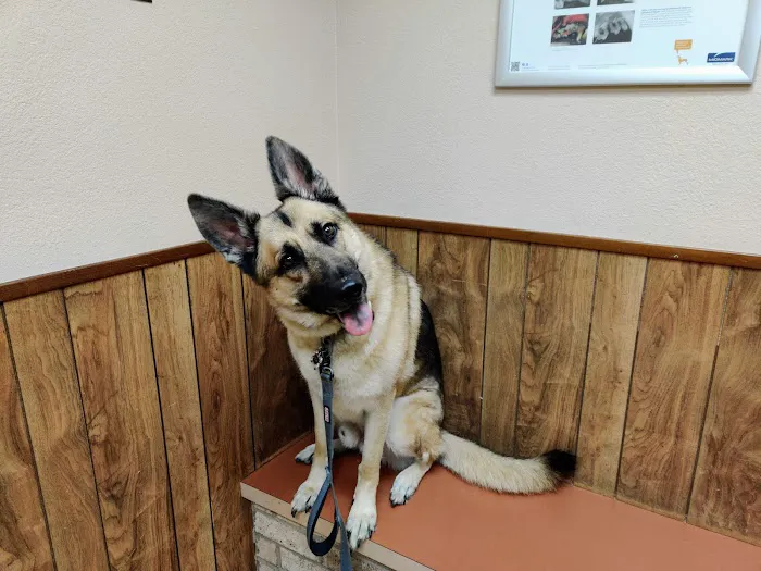 Family Pet Clinic of Grapevine Picture 4