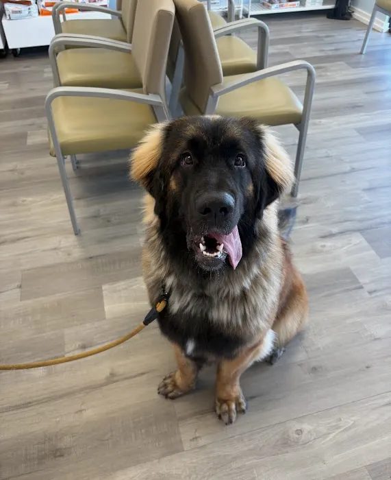 Family Pet Clinic of Grapevine Picture 7