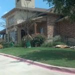 MedVet Grapevine