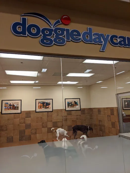 Banfield Pet Hospital Picture 9