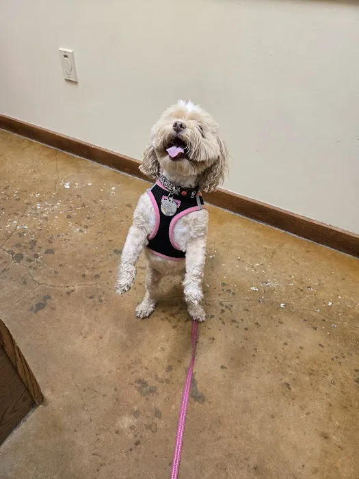 Neighborhood Pet Health Center Picture 1