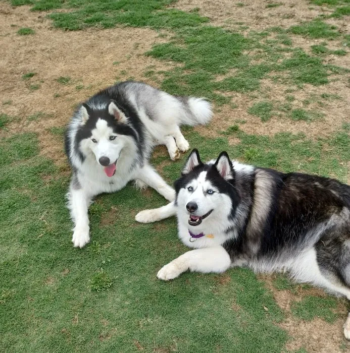 Neighborhood Pet Health Center Picture 5
