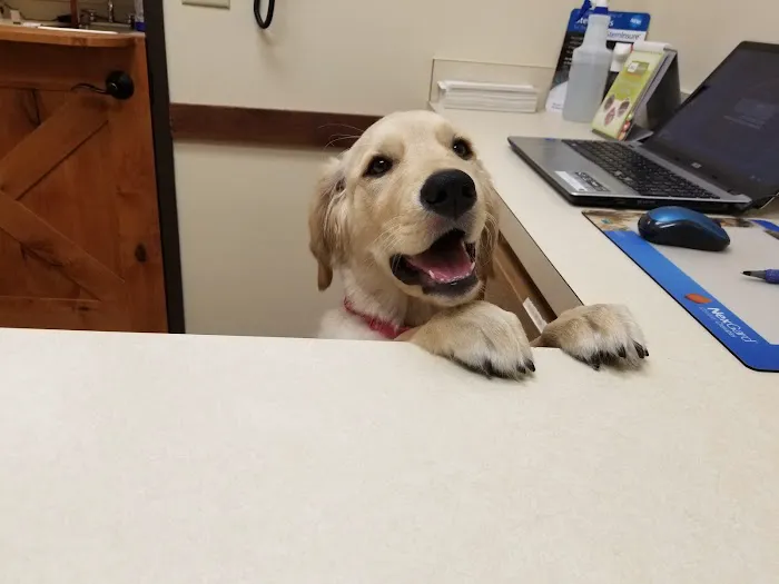 Neighborhood Pet Health Center Picture 8