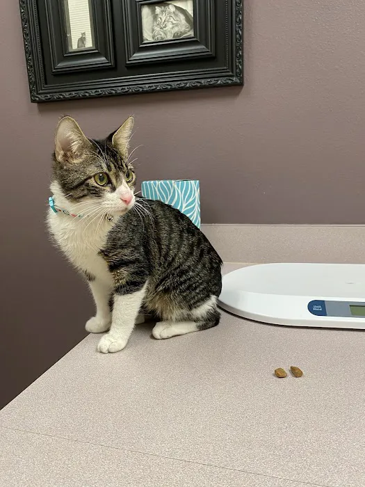 Parkside Animal Hospital Picture 1