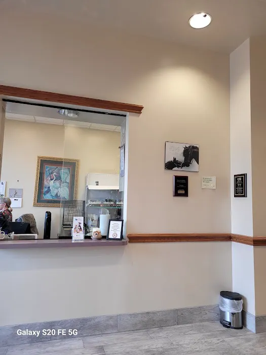 Keller All Creatures Animal Clinic Picture 2
