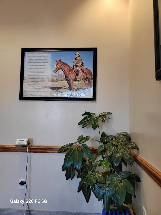 Keller All Creatures Animal Clinic Picture 4