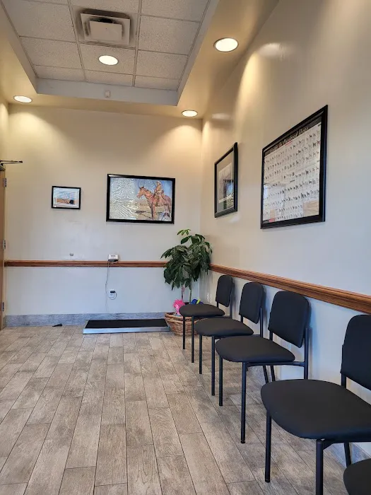 Keller All Creatures Animal Clinic Picture 7