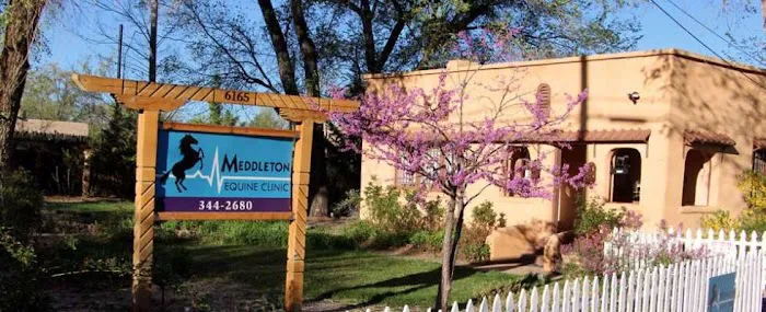 Meddleton Equine Clinic Picture 2