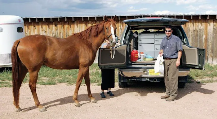 Meddleton Equine Clinic Picture 4