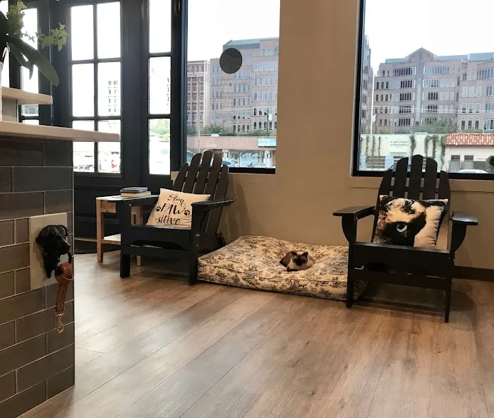 Dallas Veterinary Clinic Picture 3