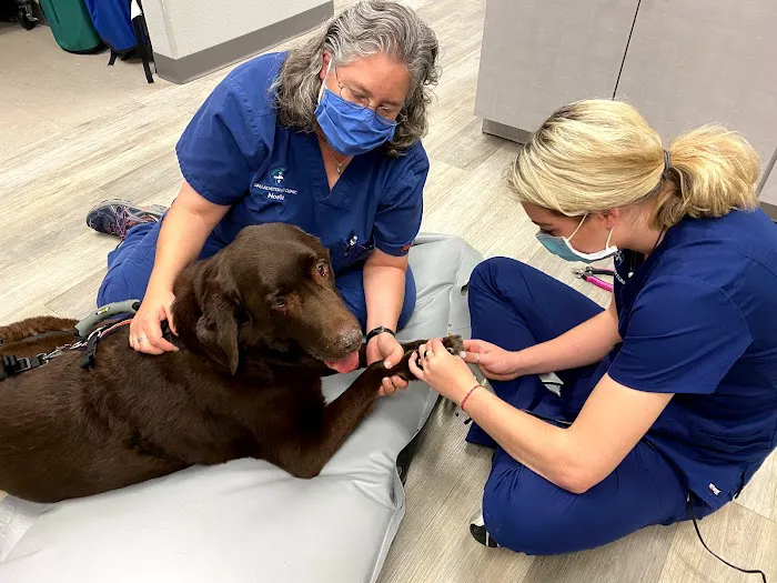 Dallas Veterinary Clinic Picture 5