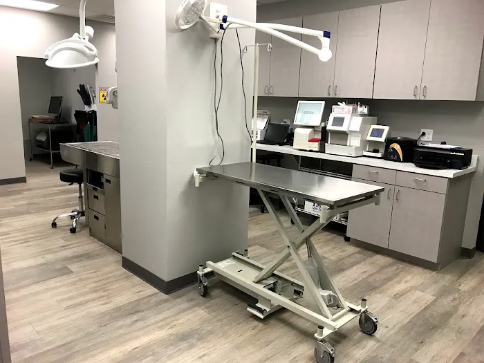 Dallas Veterinary Clinic Picture 7
