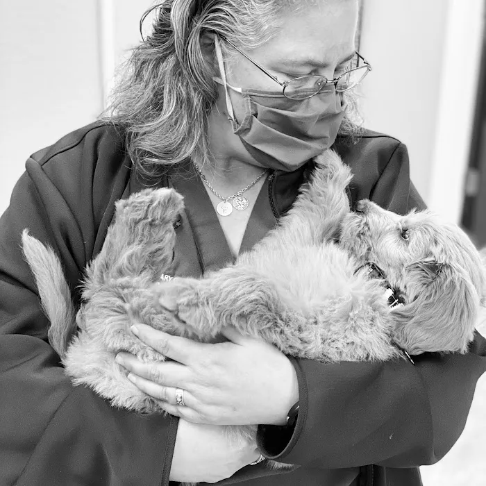 Dallas Veterinary Clinic Picture 6