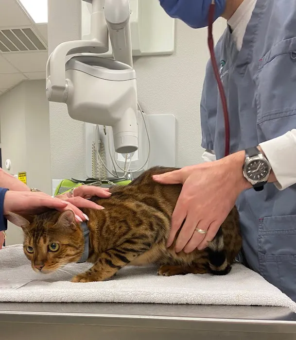 Dallas Veterinary Clinic Picture 10