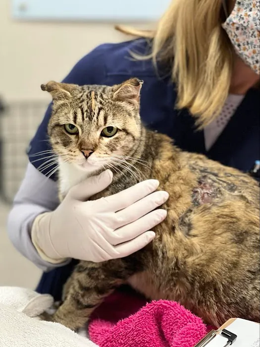 CHEW Animal Clinic Picture 9