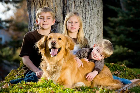 Willow Brook Animal Hospital Picture 4
