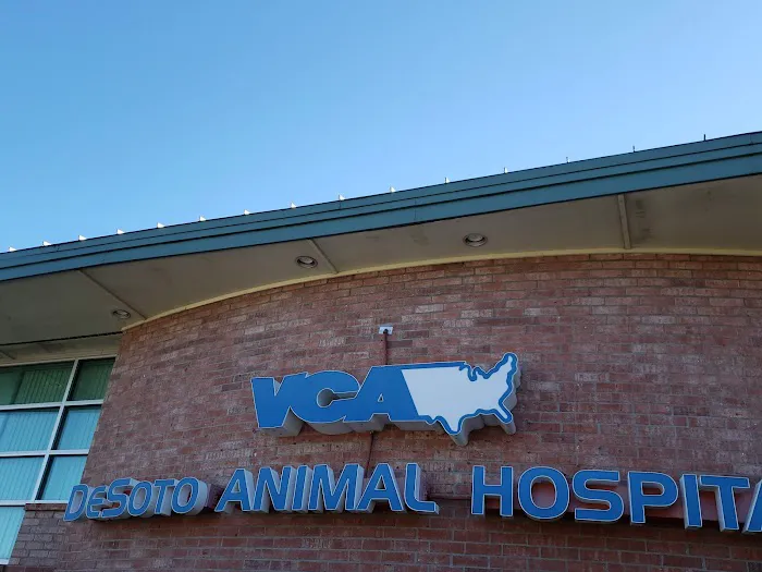 VCA DeSoto Animal Hospital Picture 7