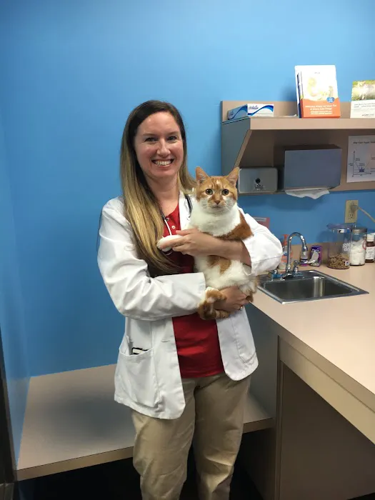 VCA DeSoto Animal Hospital Picture 9