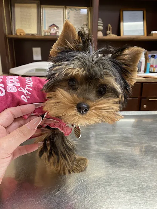 Cedar Hill Veterinary Clinic Picture 2