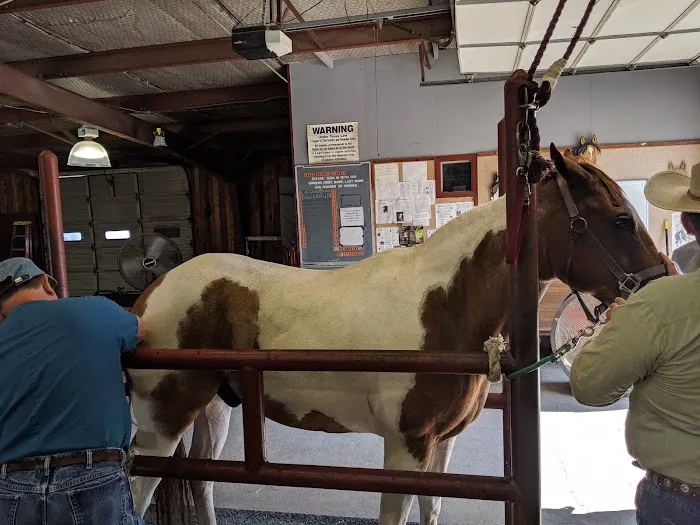 Cedar Hill Veterinary Clinic Picture 3