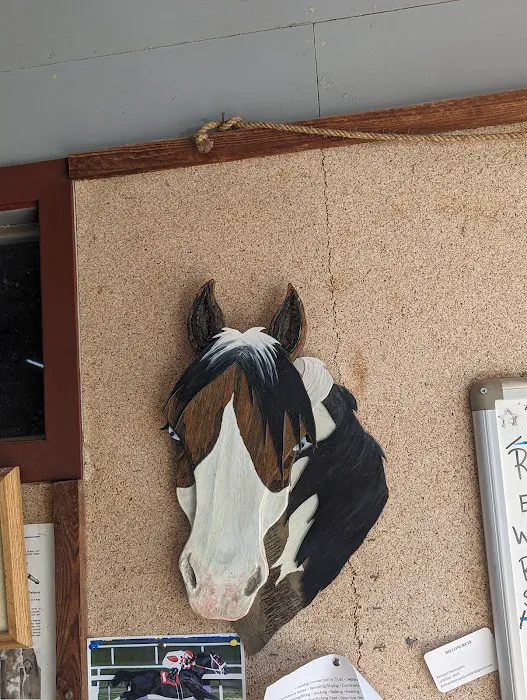 Cedar Hill Veterinary Clinic Picture 7