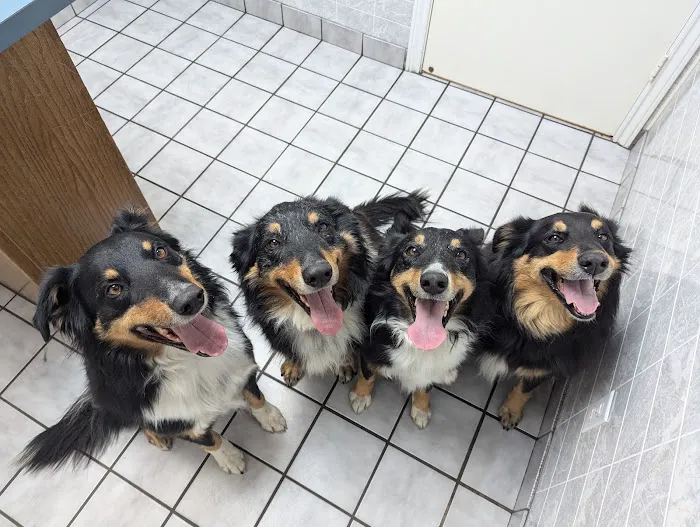 Greenbriar Veterinary Hospital Picture 1