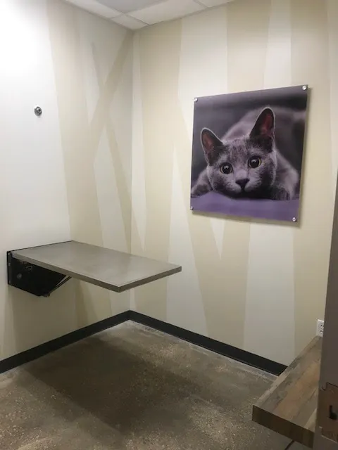 Vetco Total Care Animal Hospital Picture 9