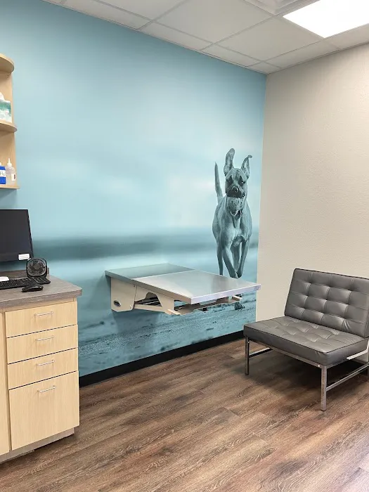 CityVet | Cedar Hill Veterinary Clinic & Urgent Care Picture 7