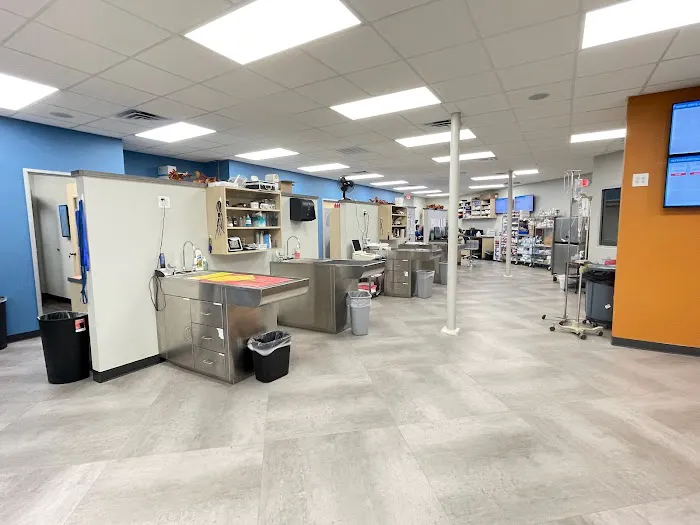 CityVet | Cedar Hill Veterinary Clinic & Urgent Care Picture 10