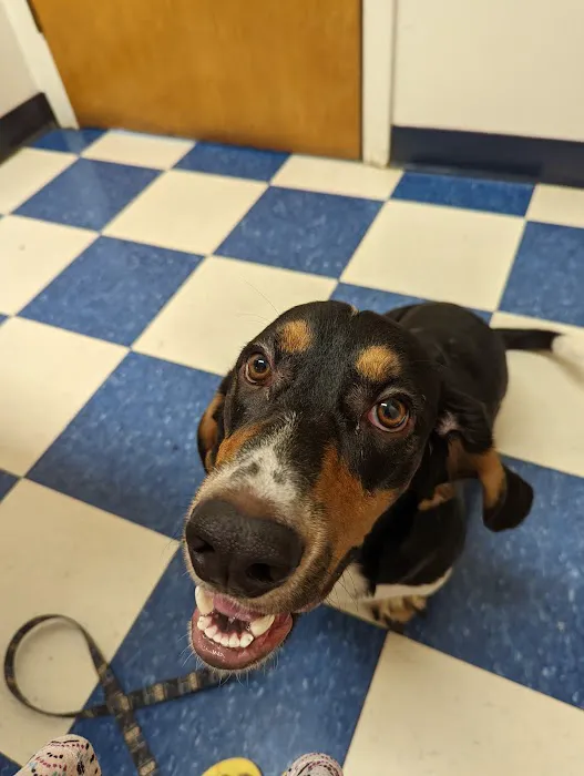 Lancaster Veterinary Clinic Picture 1