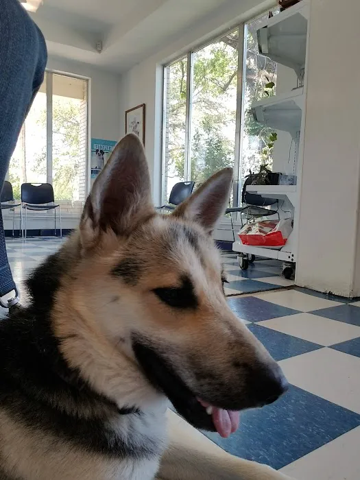 Lancaster Veterinary Clinic Picture 8