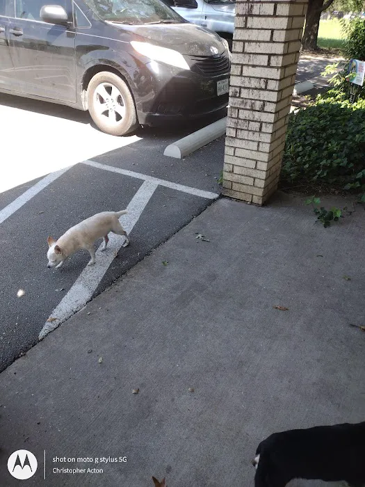 Lancaster Veterinary Clinic Picture 9