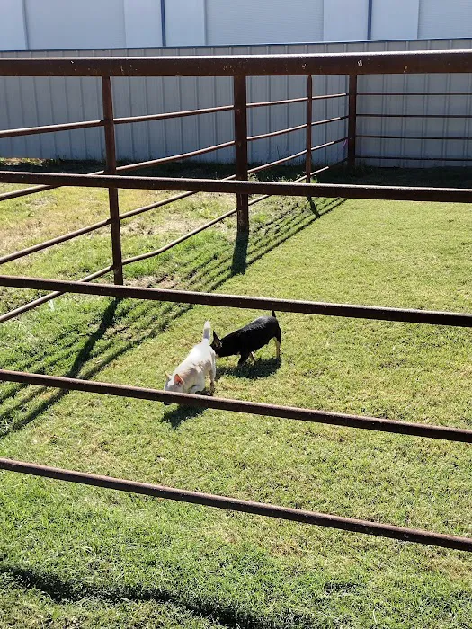 Lancaster Veterinary Clinic Picture 10